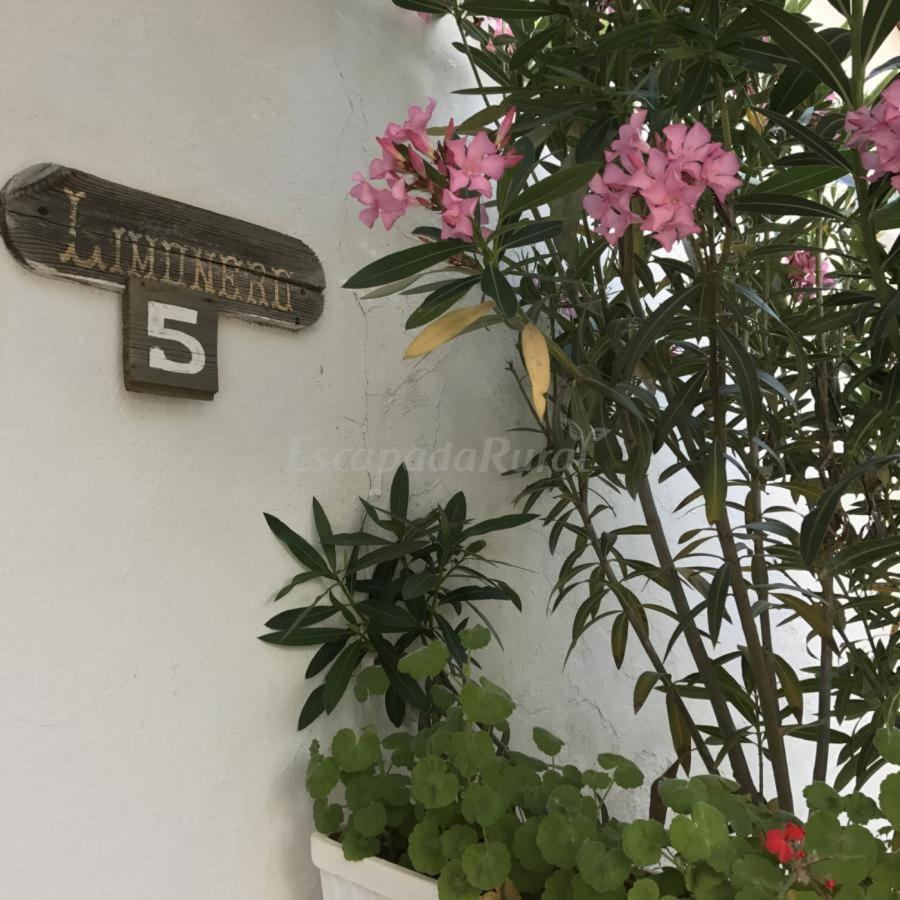 Finca La Vicacaria Limonero Zufre 外观 照片