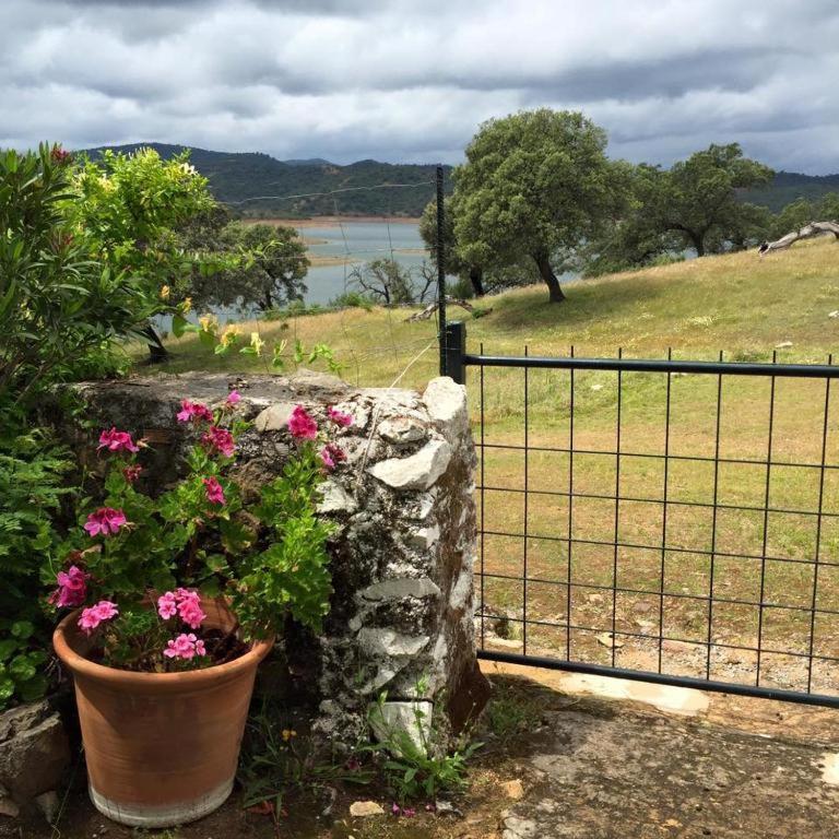 Finca La Vicacaria Limonero Zufre 外观 照片